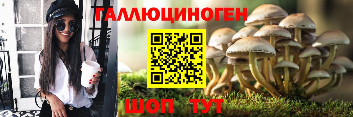 Галлюциногенные грибы GOLDEN TEACHER Губкинский