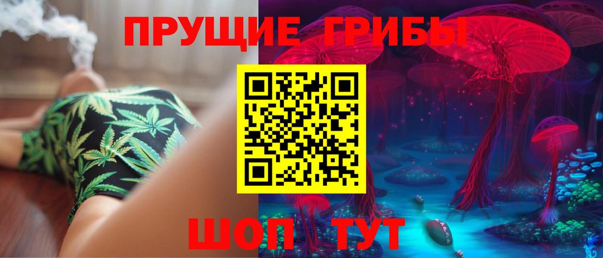 Псилоцибиновые грибы Psilocybe  Галлюциногенные грибы Cubensis  Вход с VPN  магазин продажи наркотиков  Губкинский 